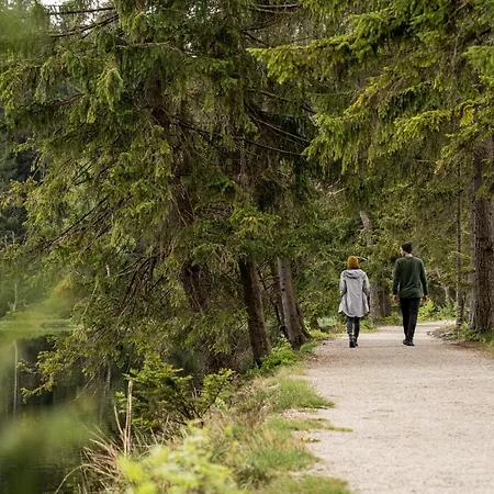 Hotel Und Restaurant Am Fichtelsee