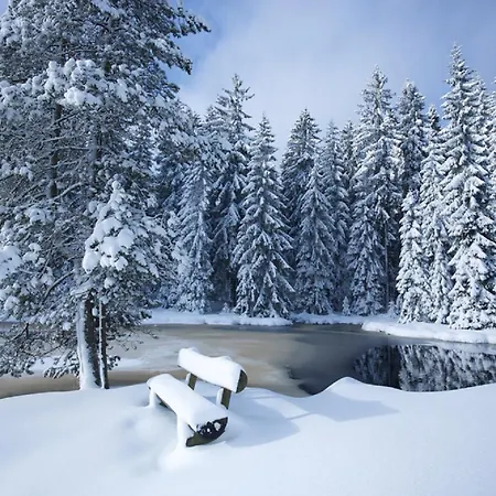 Und Restaurant Am Fichtelsee Fichtelberg